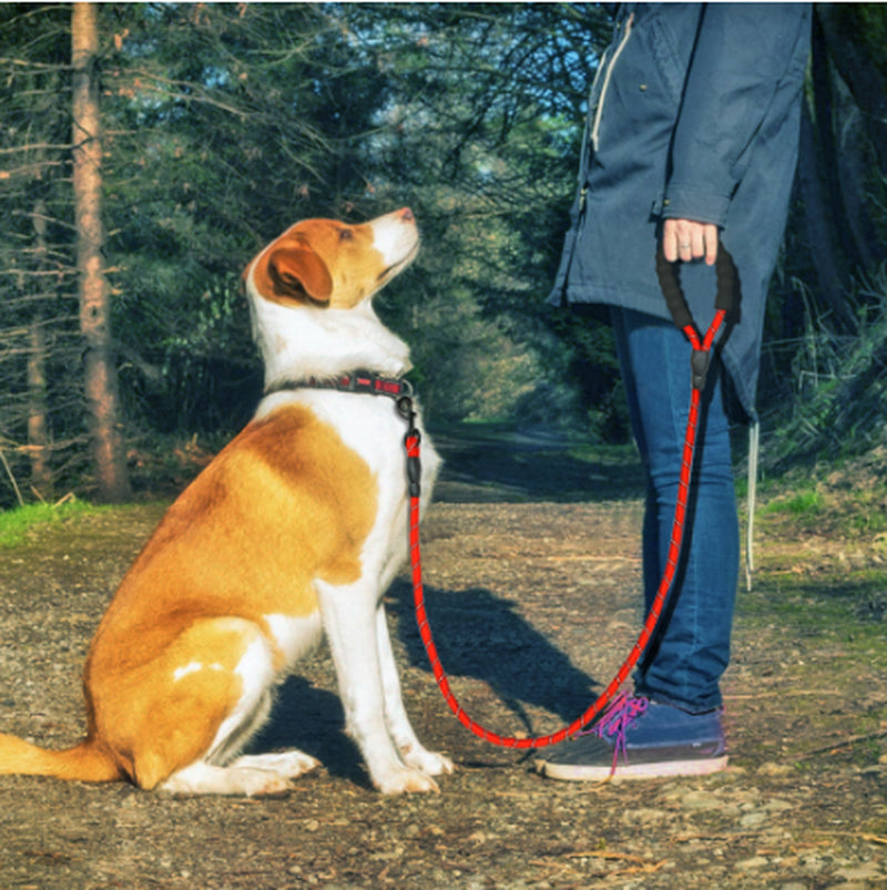 Reflective Nylon Dog Leash for Small, Medium, and Large Dogs - Ideal for Walking and Training