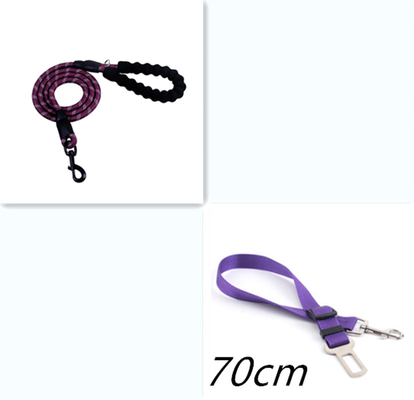 Reflective Nylon Dog Leash for Small, Medium, and Large Dogs - Ideal for Walking and Training